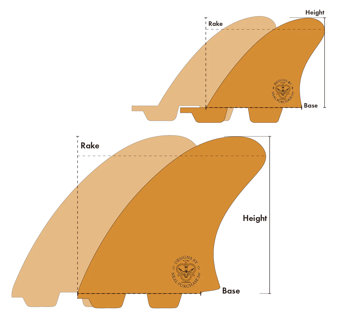 Fin Graphic