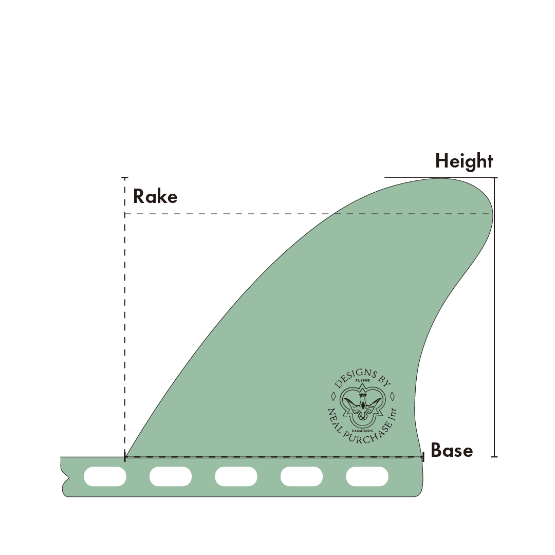 Fin Graphic